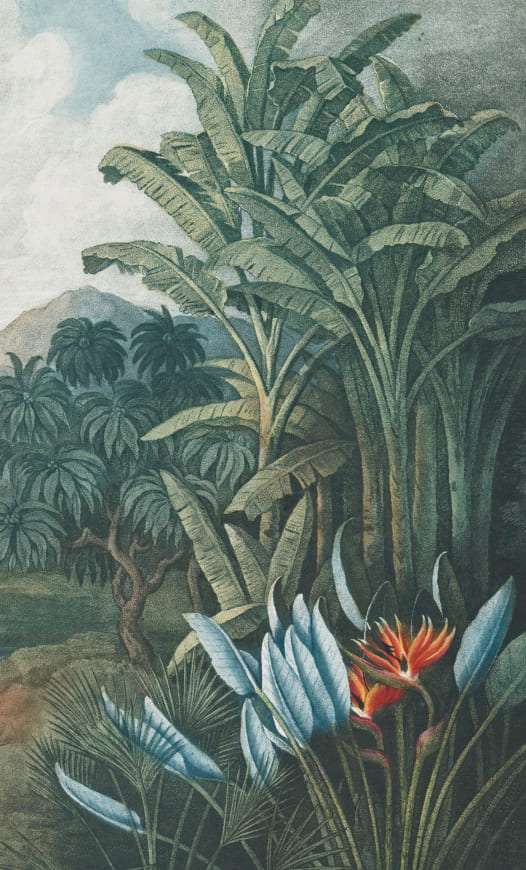 DISEÑA